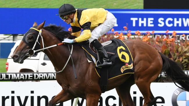 The Mission led all the way to score an upset win in The Schweppervescence.