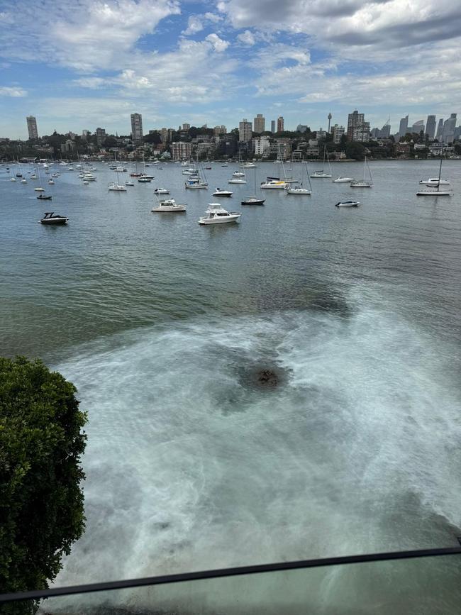Multi-millionaire Gabriel Jakob has reportedly begun building a deck at his waterfront home without DA approval.