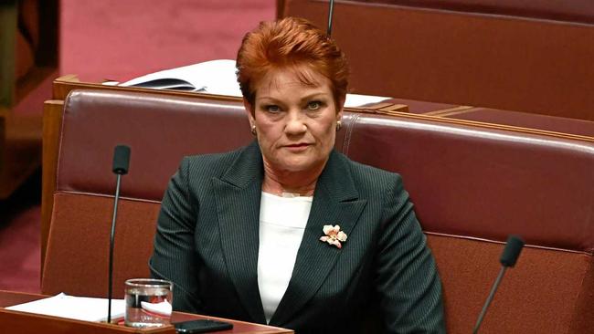 FREE SPEECH: A reader thinks Pauline Hanson should accept the changing face of Australia. Picture: MICK TSIKAS