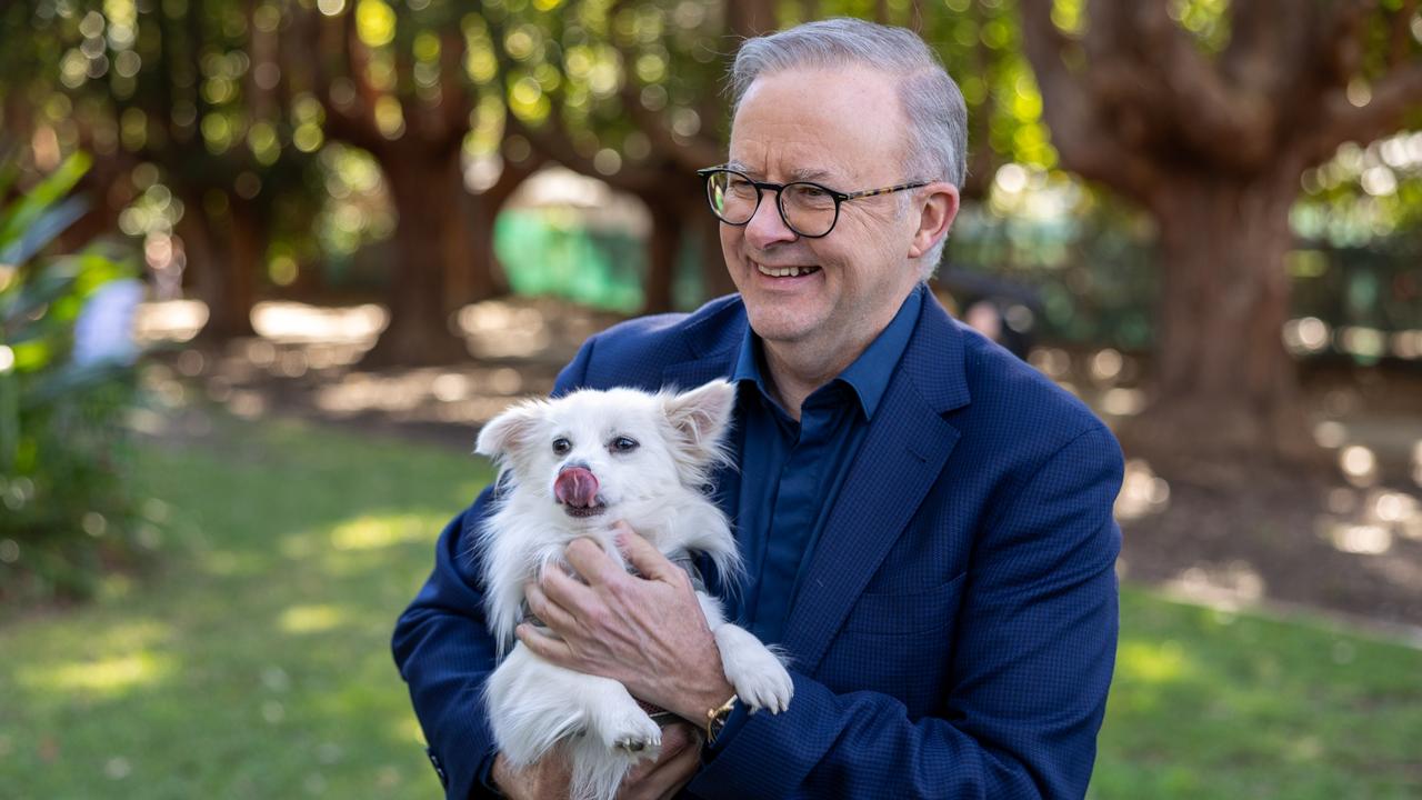 Prime Minister Anthony Albanese. Picture: NCA NewsWire/Seb Haggett