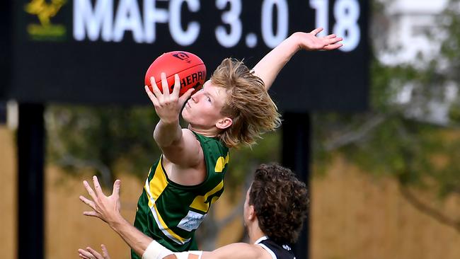 Marcoochydore player Tyler Whitely Picture, John Gass