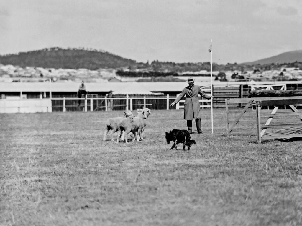 Mercury Archive historical file picture Royal Hobart Show.