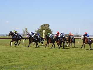 Mendelssohn (red) finishes strongly to down Haradify (inside) and Sultry Testa (blue) in last year's Clifton Cup.