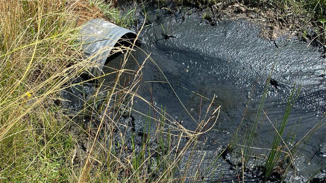 Rancid black discharge from TasWater's Campbell Town water treatment plant. Picture: Supplied