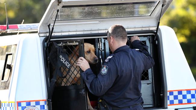 Detection dogs, Police conducting a search at Arana Hills. Photographer: Liam Kidston.