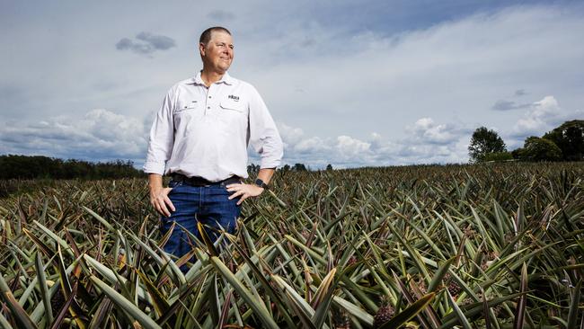 Fruit grower Gavin Scurr. Picture: Lachie Millard