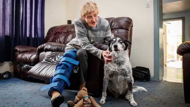 Lorraine Tutty, 86, had a fall while walking dog Penny. Lorraine went to one of the new Priority Care Centres instead of the QEH.