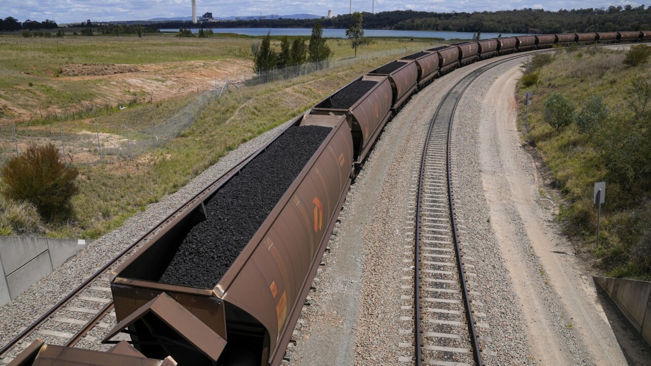 Climate 'lunatics' drag blockade into the second week at Newcastle Port