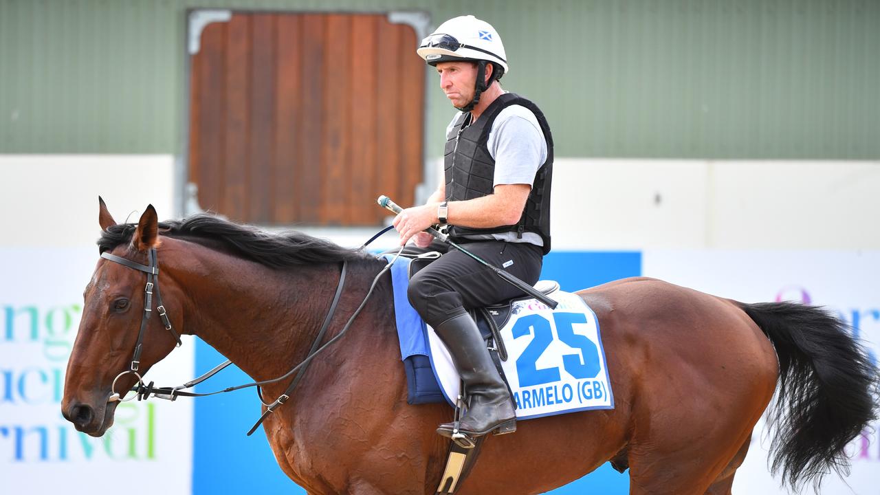 Marmelo during a trackwork session.