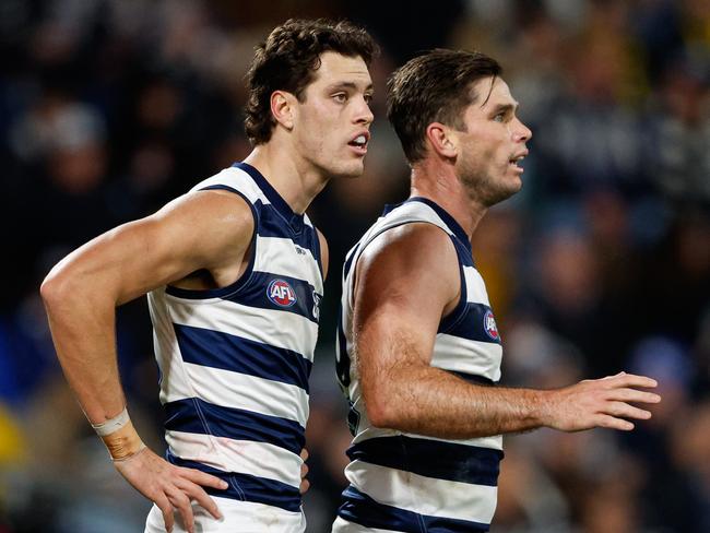 Scratch Project: The silver lining of Cats champ’s untimely blow