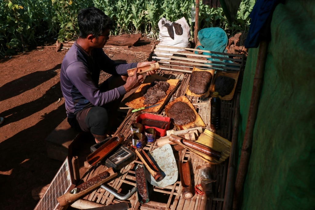 Opium farming takes root in Myanmar’s war-wracked landscape