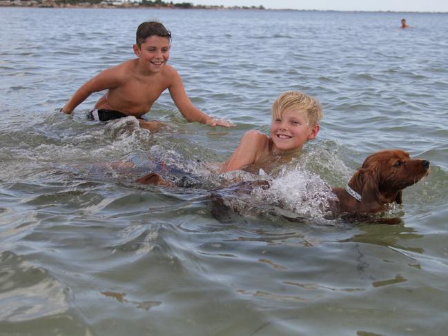 Ceduna lads Mali Halbert and Coen Evans with Pipa the dog, cooling off in Murat Bay on Wednesday. Picture: Andrew Brooks