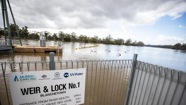 Flood water at Lock 1 at Blanchetown, on November 2nd, 2022. Picture: Tom Huntley