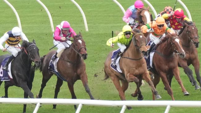 Stageman (cerise and white, second from left) can go one better in the Bobbie Lewis Quality. Picture: Racing Photos via Getty Images