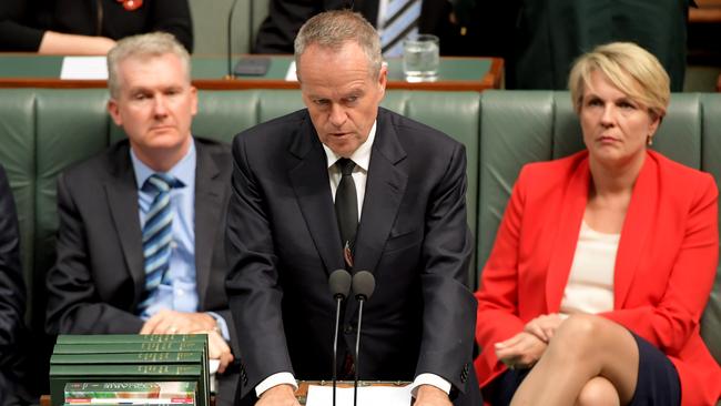 Opposition Leader Bill Shorten in Question Time last week.