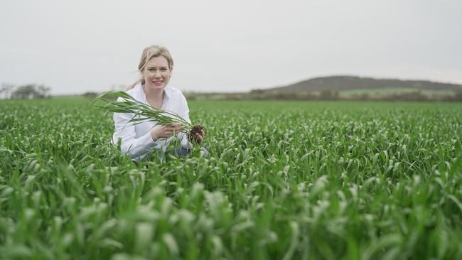 Clinical psychologist Associate Professor Kate Gunn is on a mission to reduce the number of farmers who die by suicide.