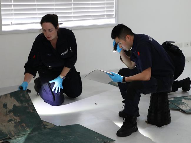 Police search the home of Nirmeen Noufl on Juno Pde in Greenacre. Picture: NSW Police