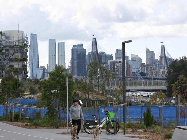 A woman walks dogs in front of Sydney's skyline on August 6, 2024, as the Reserve Bank of Australia (RBA) keeps interest rates on hold. (Photo by Saeed KHAN / AFP)