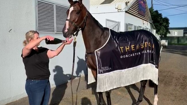 Pizza-loving horse Nettoyer enjoying some bubbles after her big win.