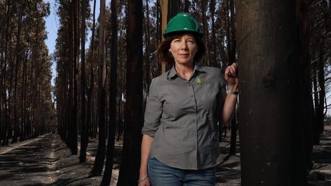 KIPT director Shauna Black examines a fire-damaged plantation on Kangaroo Island.