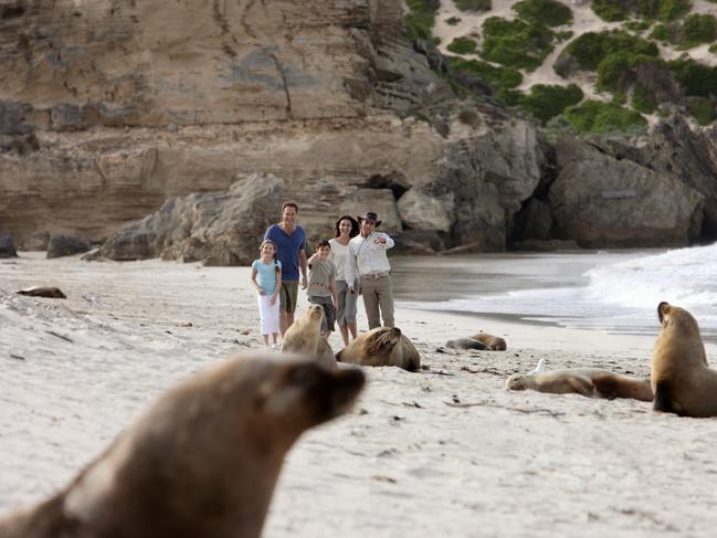 Seal Bay, Kangaroo Island. Picture: Tourism Australia