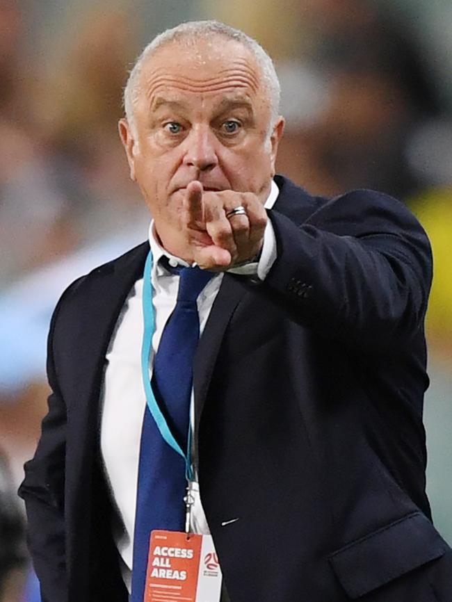 Graham Arnold says Van Marwijk’s CV commands respect. Pic: AAP