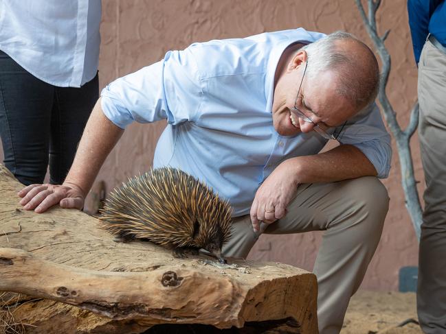 Prickly protesters – but now ScoMo’s focused on Diggers