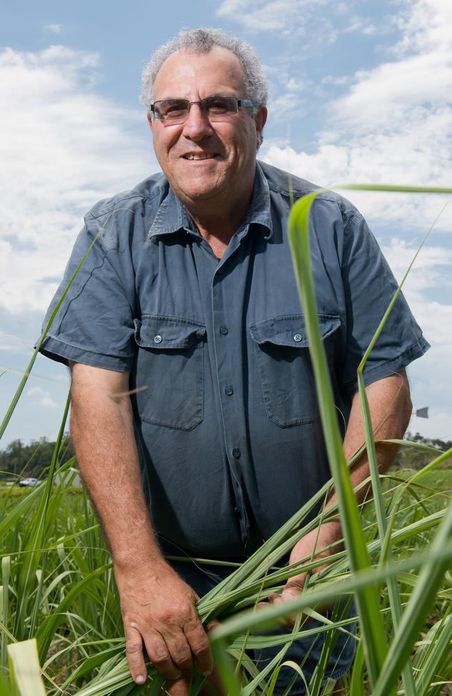 Canegrowers Queensland chairman Paul Schembri.