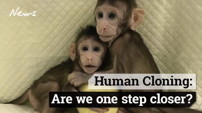 Human Cloning: Are we one step closer?