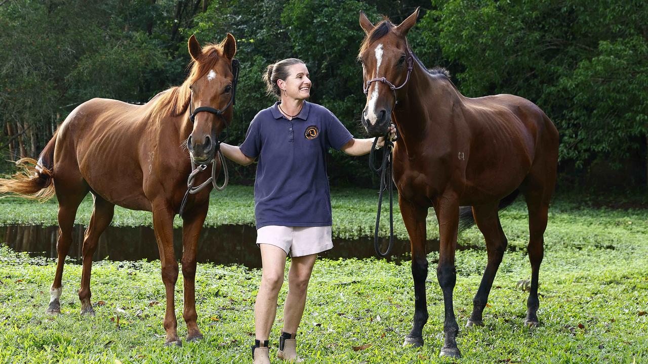 Lara Baker rehomes ex-racehorses for Kuranda therapy program | The Cairns  Post