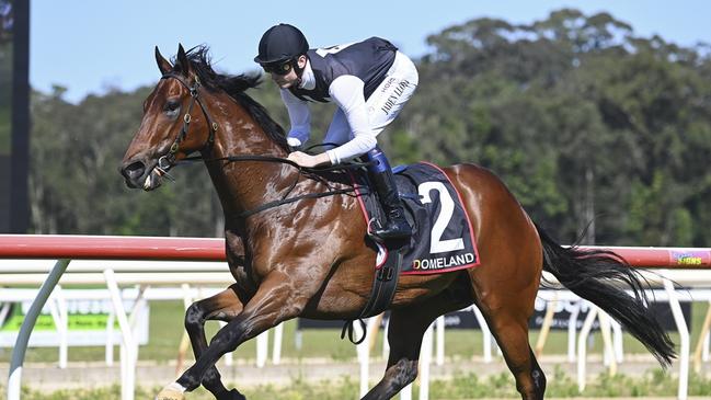 Zealously can maintain his unbeaten record as a gelding at Canterbury. Picture: Bradley Photos