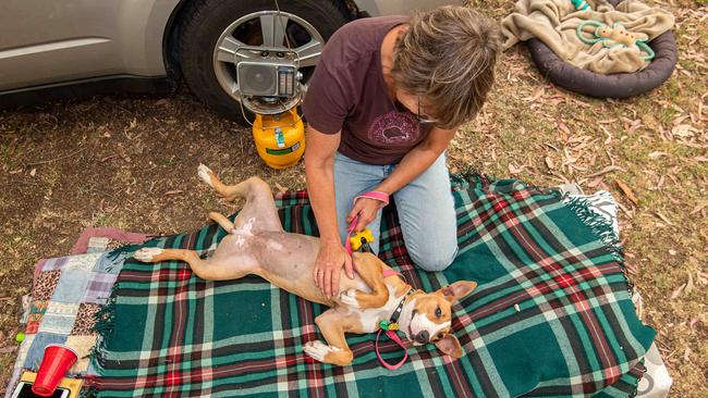 Mandy Goodwin evacuated Orbost with only her dog and car, house still intact. Picture: Jason Edwards