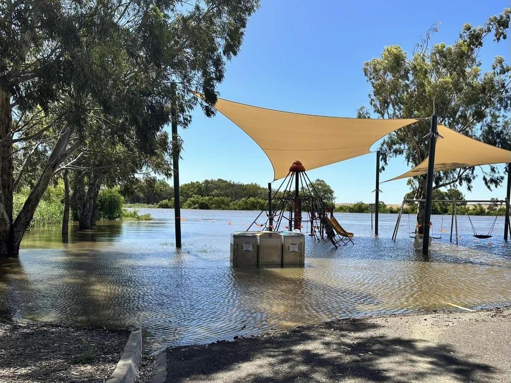 The river at Thiele Reserve, Murray Bridge, on December 25. Picture: Damon Schulz