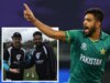 Field of Dreams which sparked Zampa magic