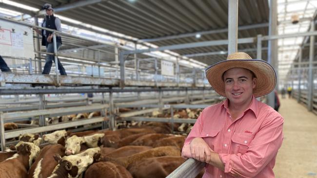 Elders Albury livestock manager Brett Shea pictured at Wodonga store cattle sale.