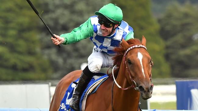 Kiwia is back for another crack at the Ballarat Cup after winning the race last year. Picture: Getty Images