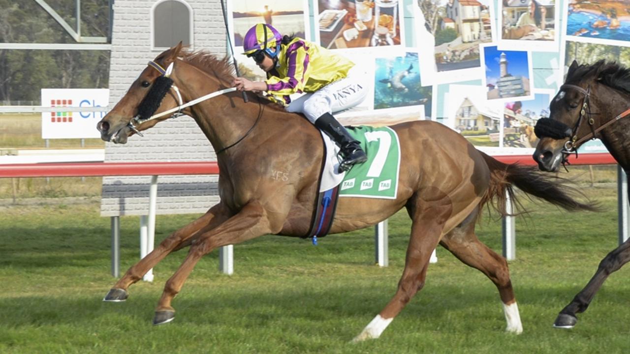 Ballistic Therapy can bounce back from a luckless run last start. Picture: Bradley Photos