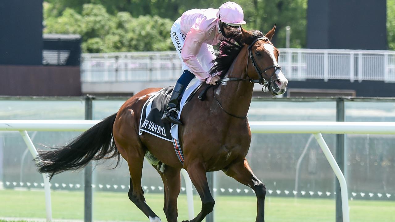 Melbourne Cup 2000 horse dies: Anthony Van Dyck breaks down during race ...