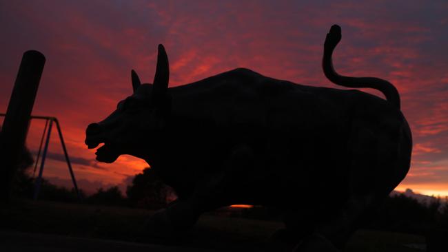 Fadi Ibrahim’s bull statue outside his eastern suburbs house. Picture: John Grainger