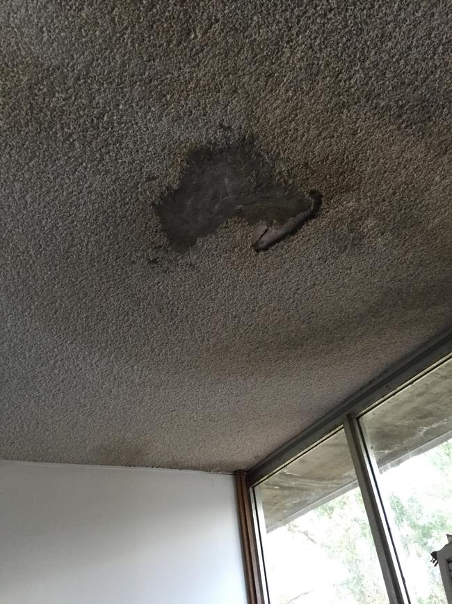 A leaking roof at Narrabeen Sports High School. Picture: Supplied