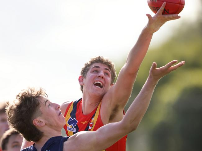 Dodson reaches highest to win a hitout during the Under-18 National Championships.