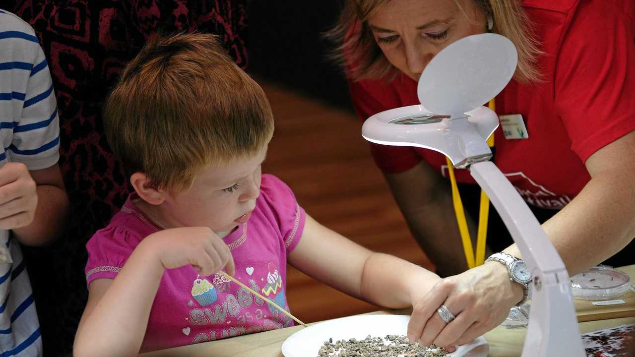 Isabelle Fisher goes looking for fossils at the World Science Festival Brisbane Chinchilla Regional Event on Saturday, 13/02/2016.Photo Matthew Newton / Chinchilla News. Picture: Matthew Newton