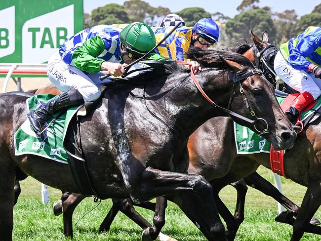 Storm Watch (NZ) ridden by John Allen wins the Elders Insurance Altona Maiden Plate at Werribee Racecourse on February 02, 2024 in Werribee, Australia. (Reg Ryan/Racing Photos via Getty Images)