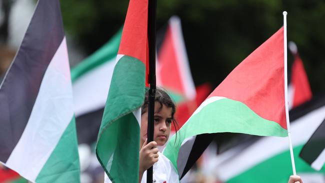 Pro-Palestinian protesters gathered in Sydney’s Hyde Park to rally against the Israeli occupation of Gaza and ongoing war between the two nations. Picture: NCA NewsWire / Dylan Robinson