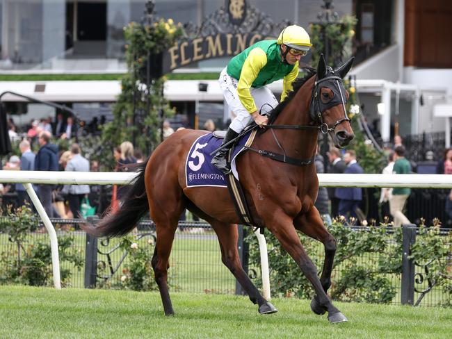 William Thomas on the way to the barriers prior to the running of the HQ Tavern Sprint at Flemington Racecourse on October 07, 2023 in Flemington, Australia. (Photo by George Sal/Racing Photos)