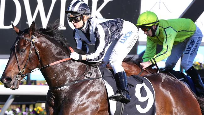 Claire Nutman on Way We Go during Sydney racing at Randwick.