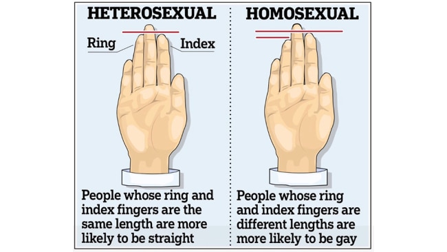 handleiding Calligrapher spontaan Study reveals length of fingers could be connected to your sexuality |  body+soul