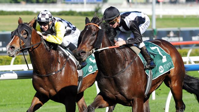 Photographs: Simon Bullard. Race 2 ALL TOO HARD @ VINERY HANDICAP (3YO&UP BM85) - 1400m. Winner 'God's In Him' ridden by Sam Clipperton.