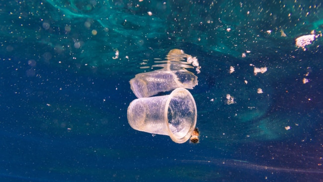 Cup in water - rubbish