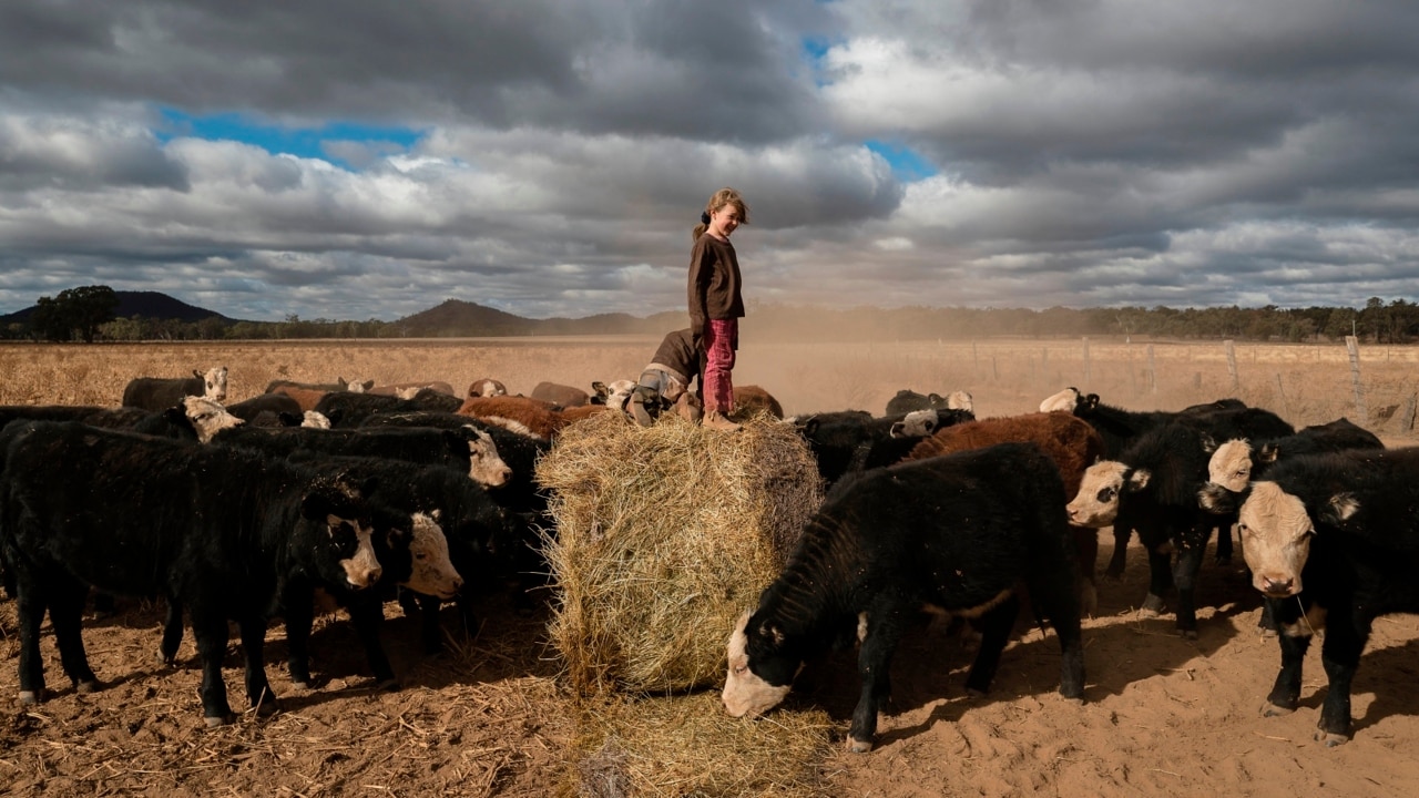 Aussie mateship bales out drought-stricken farmers